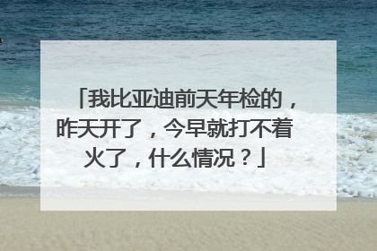 我比亚迪前天年检的，昨天开了，今早就打不着火了，什么情况？