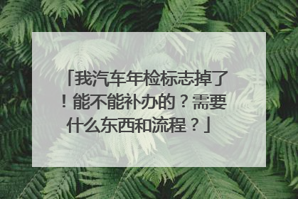 我汽车年检标志掉了！能不能补办的？需要什么东西和流程？