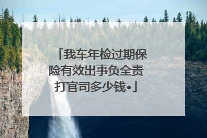 我车年检过期保险有效出事负全责打官司多少钱•