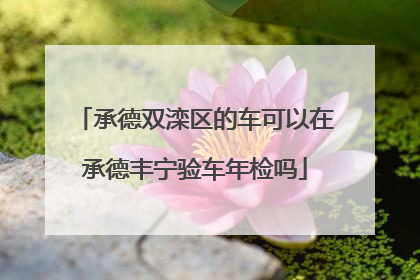 承德双滦区的车可以在承德丰宁验车年检吗