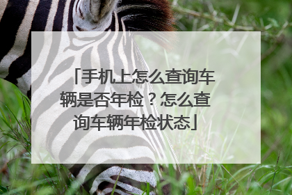手机上怎么查询车辆是否年检？怎么查询车辆年检状态