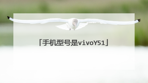 手机型号是vivoY51