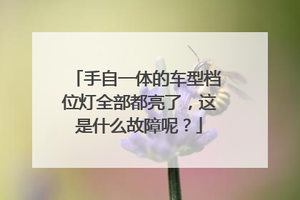 手自一体的车型档位灯全部都亮了，这是什么故障呢？