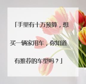 手里有十万预算，想买一辆家用车，你知道有推荐的车型吗？