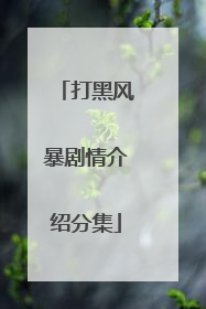 打黑风暴剧情介绍分集