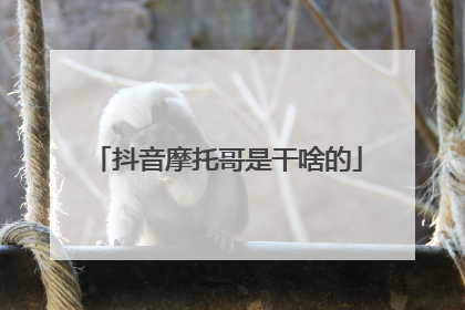 抖音摩托哥是干啥的