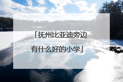 抚州比亚迪旁边有什么好的小学