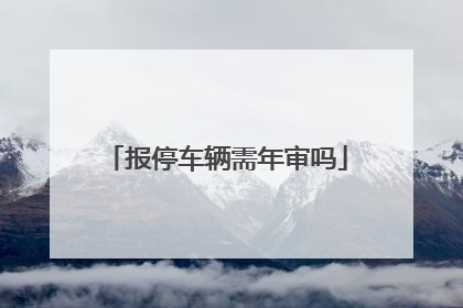 报停车辆需年审吗
