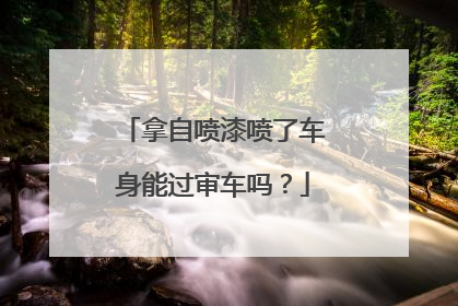 拿自喷漆喷了车身能过审车吗？
