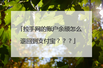 拉手网的账户余额怎么退回到支付宝？？？