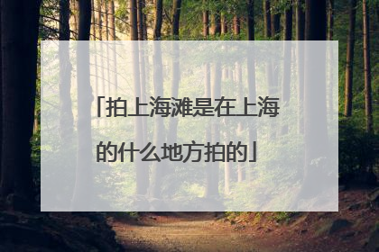 拍上海滩是在上海的什么地方拍的