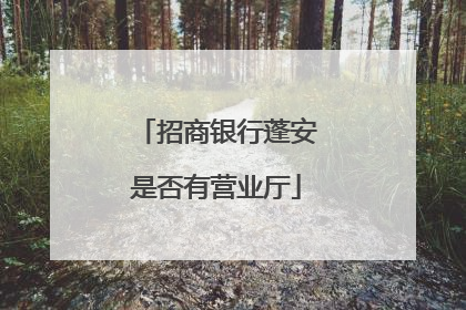 招商银行蓬安是否有营业厅