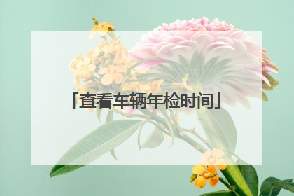 查看车辆年检时间
