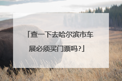 查一下去哈尔滨市车展必须买门票吗?