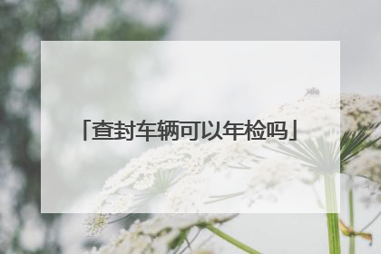 查封车辆可以年检吗