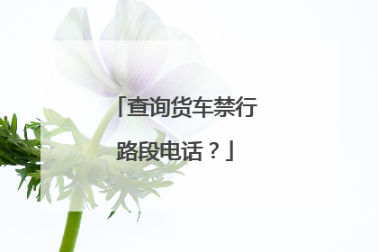 查询货车禁行路段电话？