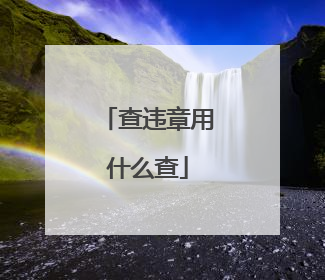 查违章用什么查