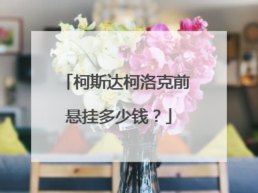 柯斯达柯洛克前悬挂多少钱？