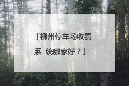 柳州停车场收费系 统哪家好？
