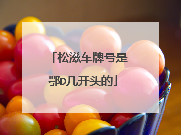 松滋车牌号是鄂D几开头的
