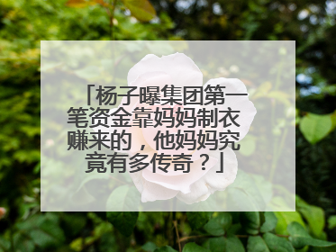 杨子曝集团第一笔资金靠妈妈制衣赚来的，他妈妈究竟有多传奇？