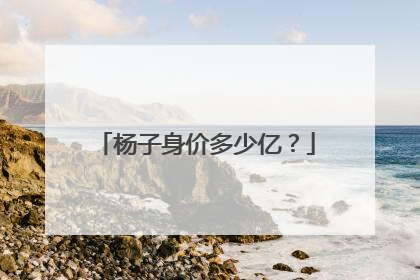 杨子身价多少亿？