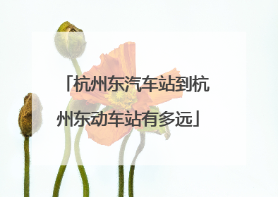 杭州东汽车站到杭州东动车站有多远
