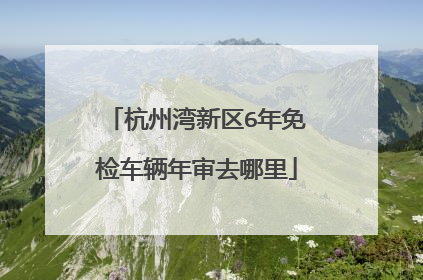 杭州湾新区6年免检车辆年审去哪里