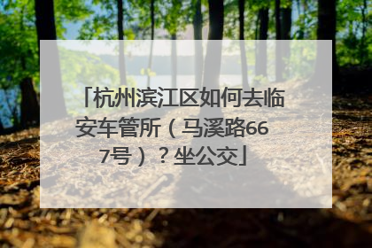 杭州滨江区如何去临安车管所（马溪路667号）？坐公交
