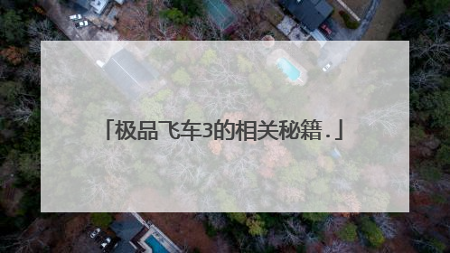 极品飞车3的相关秘籍.