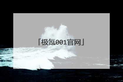 极氪001官网