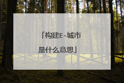 构建E-城市是什么意思