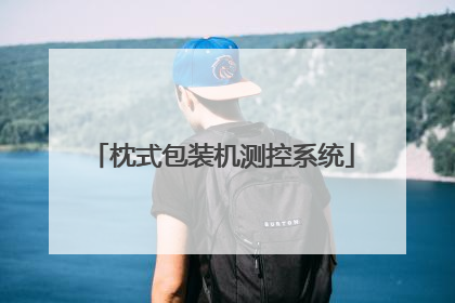 枕式包装机测控系统