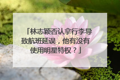 林志颖否认拿行李导致航班延误，他有没有使用明星特权？