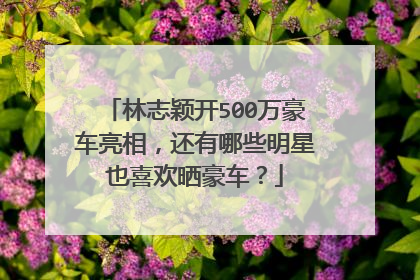 林志颖开500万豪车亮相，还有哪些明星也喜欢晒豪车？