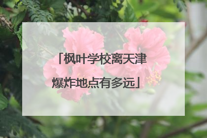 枫叶学校离天津爆炸地点有多远