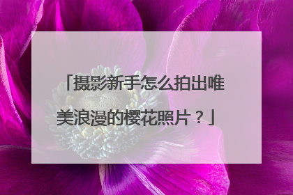 摄影新手怎么拍出唯美浪漫的樱花照片？