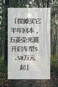 摆摊买它半年回本，五菱荣光翼开启车型5.58万元起