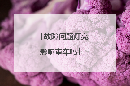 故障问题灯亮影响审车吗