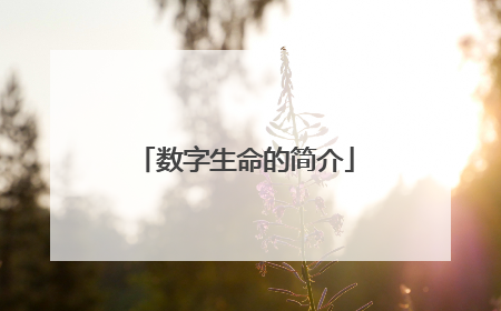 数字生命的简介