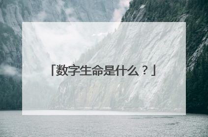 数字生命是什么？