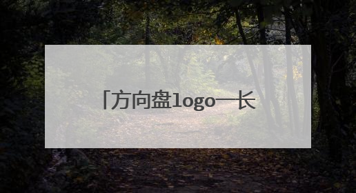方向盘logo一长串字母是什么车？