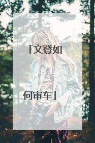 文登如何审车