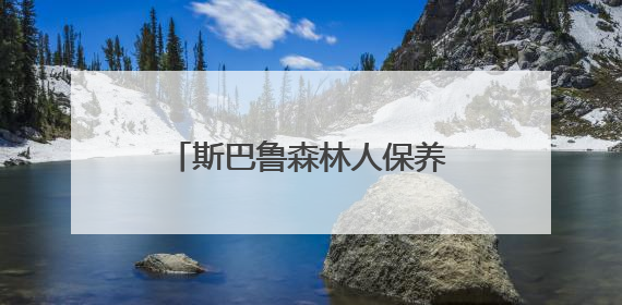 斯巴鲁森林人保养费用大概多少钱