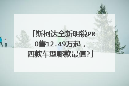 斯柯达全新明锐PRO售12.49万起，四款车型哪款最值?
