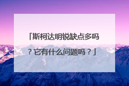 斯柯达明锐缺点多吗？它有什么问题吗？