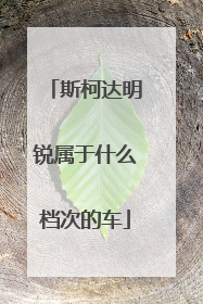 斯柯达明锐属于什么档次的车