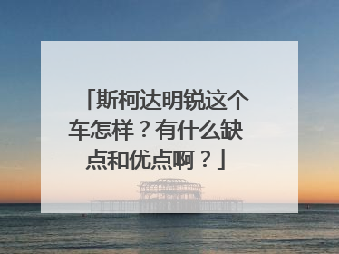 斯柯达明锐这个车怎样？有什么缺点和优点啊？