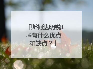 斯柯达明锐1.6有什么优点和缺点？