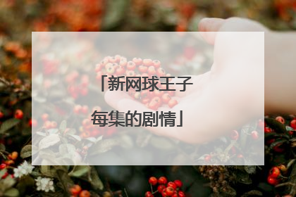 新网球王子每集的剧情